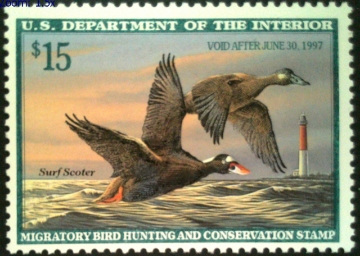 Picture of RW63 1996 Duck Stamp  MNH F-VF