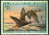 Scan of RW63 1996 Duck Stamp  MNH VF