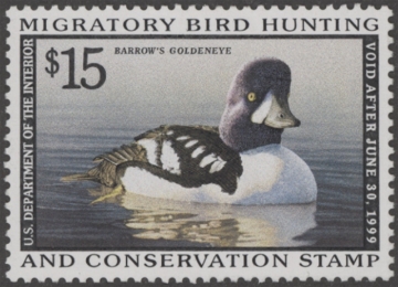 Picture of RW65 1998 Duck Stamp  MNH/DG VF
