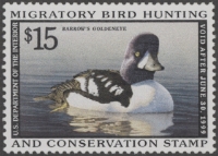 Scan of RW65 1998 Duck Stamp  MNH VF