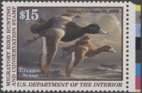 Scan of RW66 1999 Duck Stamp  MNH VF