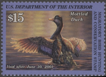 Picture of RW67 2000 Duck Stamp  MNH F-VF