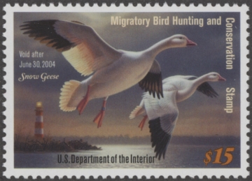 Picture of RW70 2003 Duck Stamp  MNH VF