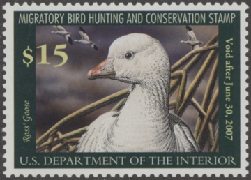 Scan of RW73 2006 Duck Stamp  MNH F-VF