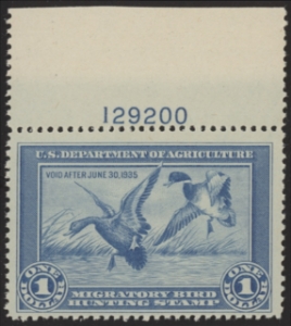 Scan of RW1 1934 Duck Stamp  MNH Fine
