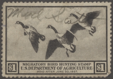 Scan of RW3 1936 Duck Stamp  Used VF