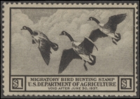 Scan of RW3 1936 Duck Stamp  Unsigned Fine