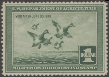 Scan of RW4 1937 Duck Stamp  MLH VF