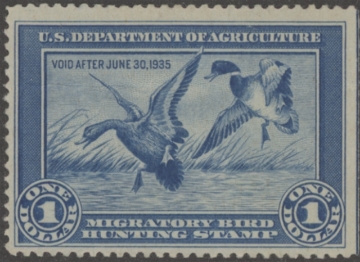 Picture of RW1 1934 Duck Stamp  Unsigned Fne