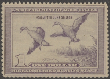 Scan of RW5 1938 Duck Stamp  MNH F-VF