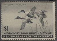 Scan of RW12 1945 Duck Stamp  Unsigned F-VF