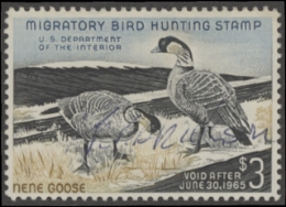 Scan of RW31 1964 Duck Stamp  Used F-VF