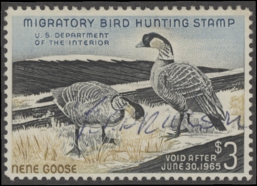 Scan of RW31 1964 Duck Stamp  Used F-VF