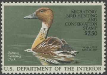 Scan of RW53 1986 Duck Stamp  MNH F-VF