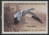 Scan of RW55 1988 Duck Stamp  MNH F-VF