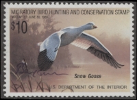 Scan of RW55 1988 Duck Stamp  Used F-VF