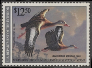 Scan of RW57 1990 Duck Stamp  Unsigned F-VF