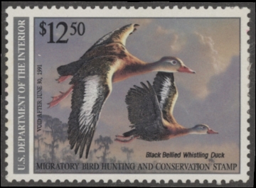 Picture of RW57 1990 Duck Stamp  Unsigned F-VF