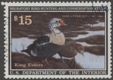 Scan of RW58 1991 Duck Stamp  Used VF