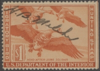 Scan of RW11 1944 Duck Stamp 