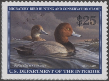 Picture of RW89 2022 Duck Stamp  MNH VF