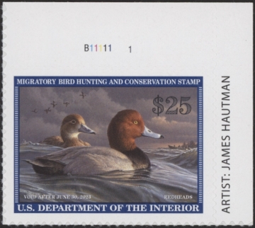 Picture of RW89 2022 Duck Stamp  MNH VF