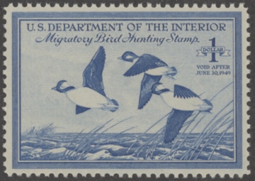 Scan of RW15 1948 Duck Stamp  MNH VF