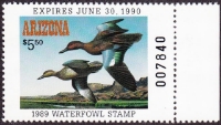 Scan of 1989 Arizona Duck Stamp MNH VF