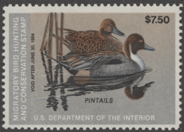 Scan of RW50 1983 Duck Stamp  MNH F-VF