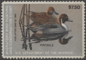 Scan of RW50 1983 Duck Stamp  Unsigned, No Gum F-VF