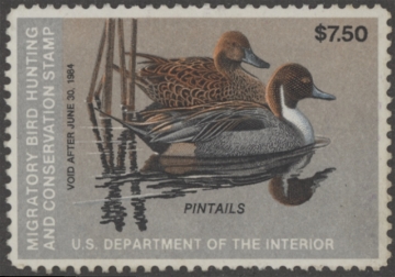 Scan of RW50 1983 Duck Stamp  Unsigned, No Gum F-VF