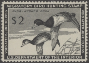 Scan of RW21 1954 Duck Stamp  MLH VF