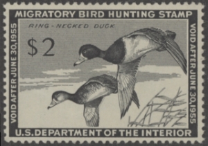 Scan of RW21 1954 Duck Stamp  MNH VF