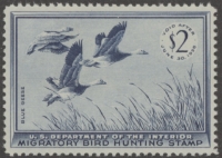 Scan of RW22 1955 Duck Stamp  MNH VF