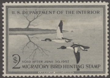 Scan of RW23 1956 Duck Stamp  MNH VF