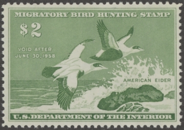 Scan of RW24 1957 Duck Stamp  MNH F-VF