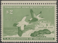 Scan of RW24 1957 Duck Stamp  MNH VF