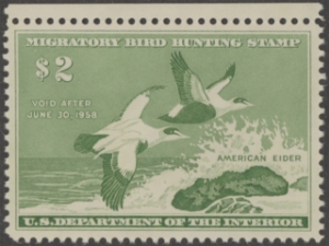 Scan of RW24 1957 Duck Stamp  MNH VF
