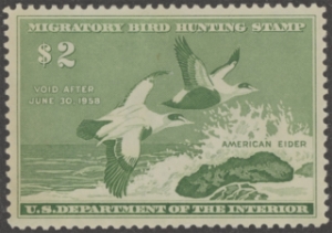 Scan of RW24 1957 Duck Stamp   MLH, Faults XF