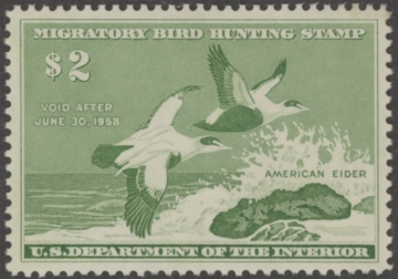 Picture of RW24 1957 Duck Stamp  MLH VF-XF
