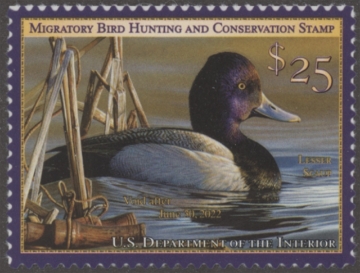 Picture of RW88 2021 Duck Stamp  MNH VF