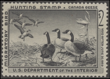 Scan of RW25 1958 Duck Stamp  MNH F-VF