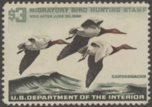 Scan of RW32 1965 Duck Stamp Unsigned, Faults F-VF