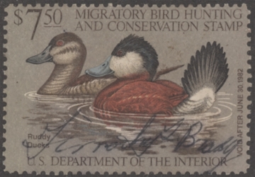 Scan of RW48 1981 Duck Stamp  Used F-VF