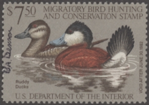 Scan of RW48 1981 Duck Stamp  Used F-VF