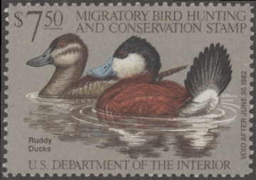 Scan of RW48 1981 Duck Stamp  MNH F-VF