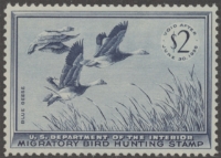 Scan of RW22 1955 Duck Stamp  MNH XF - Sup 95