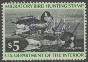 Scan of RW43 1976 Duck Stamp  Used F-VF