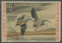Scan of RW39 1972 Duck Stamp  Used F-VF