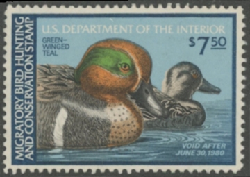 Picture of RW46 1979 Duck Stamp  Unsigned, No Gum VF